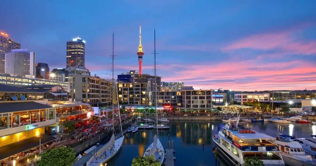 New Zealand Central Bank Pauses Rate Cuts as Recession Risks Loom